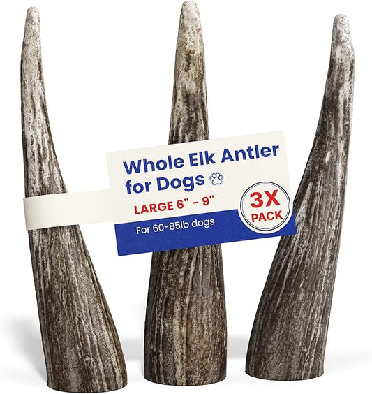 Large 3 Pack Whole Elk Antlers for Dogs [Long Lasting] - Elk Bones for Dogs Humanely Sourced - Elk Horns for Dogs - Dog Elk Antler Chews - Antlers for Large Dogs 60-85 Pounds