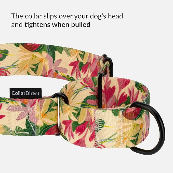 CollarDirect Martingale Collars for Dogs Heavy Duty Floral Pattern Female Safety Nylon Training Wide Collar Flower Design Large Medium (L, Neck Size 15"-20", Toffee)