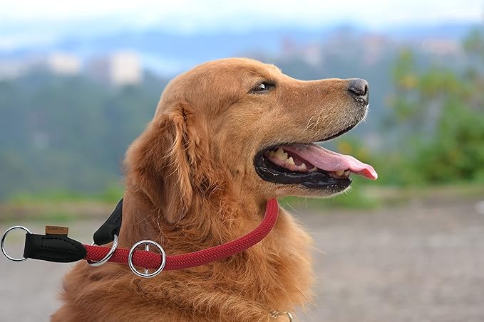 Braided Collar, Pro Training Dog Collar, No Pull Round Collar, Slip Collar with Slidable Stop Ring - Ideal for Medium/Large Dogs (M+(1/2") - 18" Long, Red)