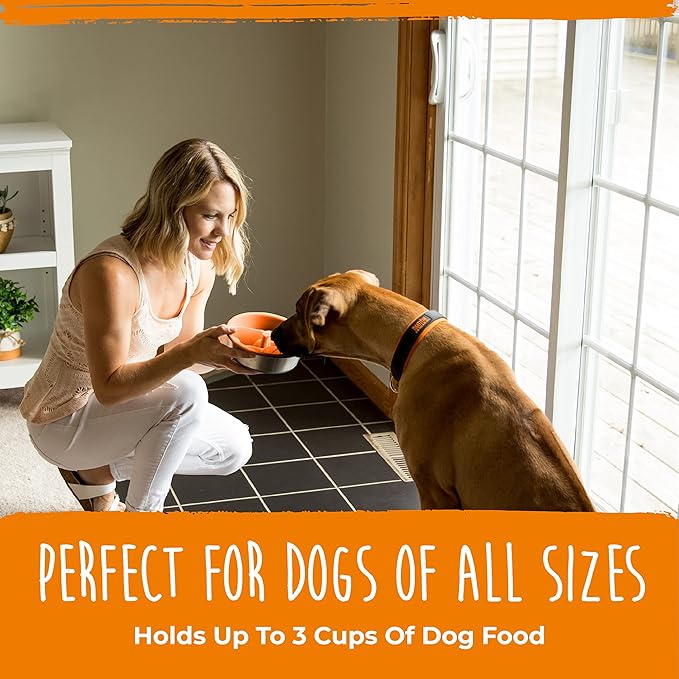 Mighty Paw Slow Feeder Dog Bowls | Interactive Dog Bow Insert - Silicone Puzzle Feeder Insert - Medium for All Sized Breeds (7" x 2")