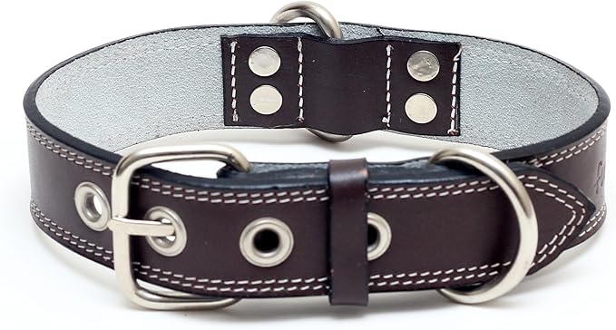Premium Leather Collars with Stainless Steel Buckles (15"-18", Chocolate)