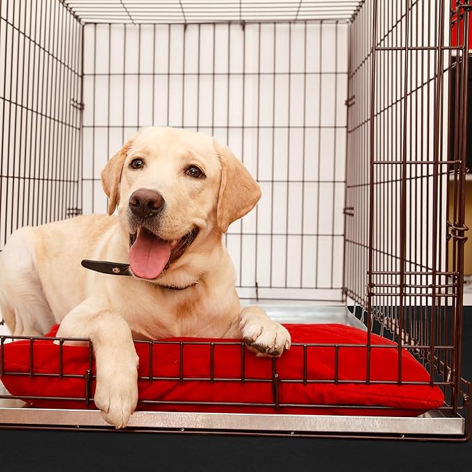PVC Pet Crate Floor Protection Mat 24" X 38" XXL Washable Floor Covering Reusable Waterproof Non Slip Rug Whelping Pad for Pet