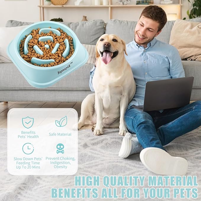 Slow Feeder Dog Bowls for Healthy Eating, Non-Slip and Anti-Choking Design, Reduces Bloating & Overeating for Large Dogs, Easy to Clean