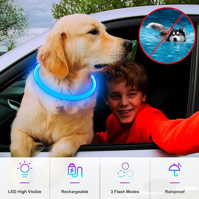 Light Up Dog Collars, Single-Color USB Rechargeable Dlitk LED Dog Collar 1 Count, TPU Cuttable Size Glow Collar for Dogs, Dog Collar Light, Please Do Not Use Fast Charging (Blue)