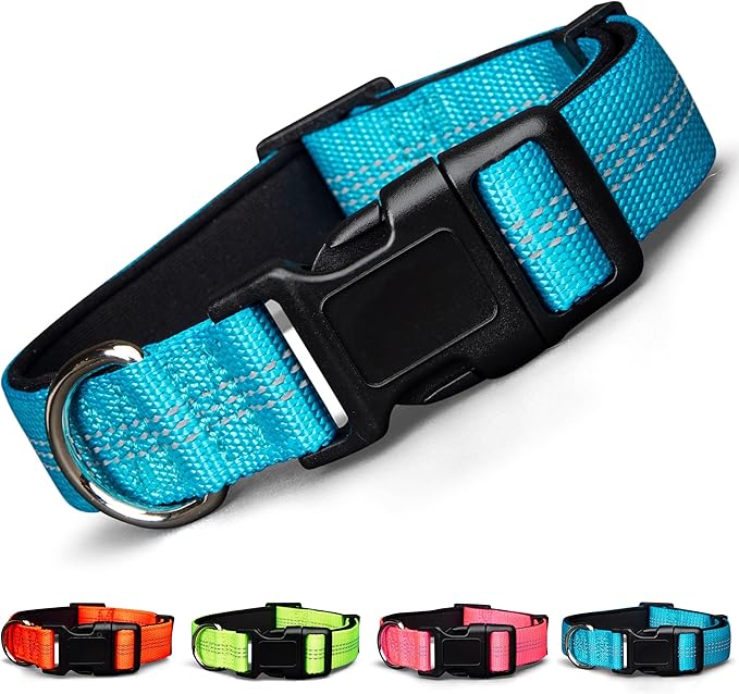 BLAZIN 'Color Me Happy!' Reflective Dog Collar for Day and Night - Adjustable Soft Neoprene Padded Dog Collar in 4 Vibrant Colors - Keeps Dogs Safe and Stylish - for Every Day Use (Medium, Blue)