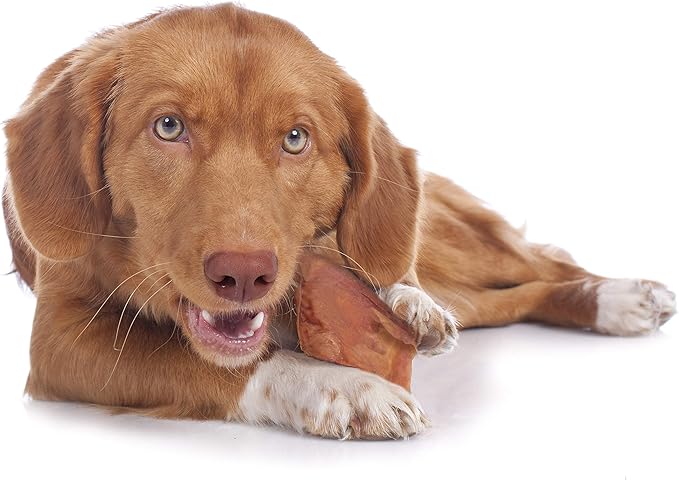 Cadet Natural Pig Ears for Dogs, Long Lasting & Natural Chew Treats for Dogs, 25 Count