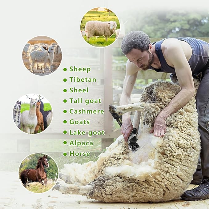 PAT JUUMG 1000W Sheep Shears Electric Farm Livestock Haircut with 2 Blades Professional Animal Clippers 6 Speed Heavy Duty Electric for Thick Horses Sheep Alpacas Goats(Black)