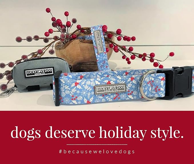 Lucky Love Dog Collar, Cute Winter Dog Collars for Large Dogs, Blue Snowflake Dog Collar for Male and Female Dogs, Part of Purchase Donated to Dog Rescue - (Winterblue Collar, XL)