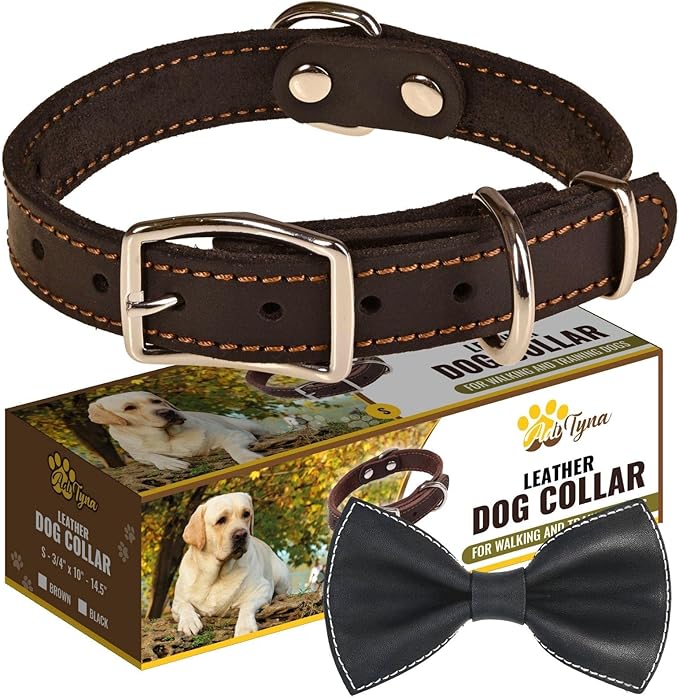 Heavy Duty Black Leather Dog Collar - Soft and Strong Dog Collar for Puppy or Small Dogs (Small: Fit 10" - 14.5" Neck, Black)