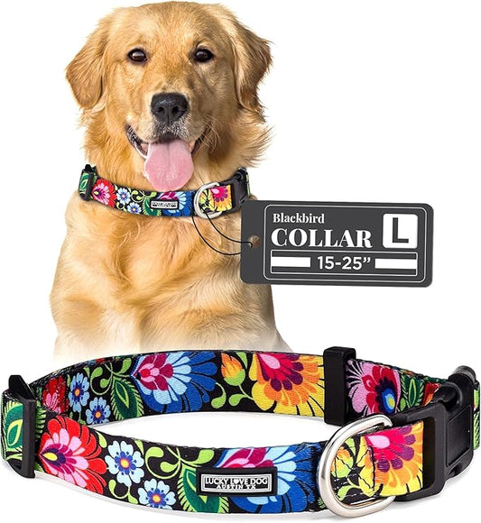Lucky Love Dog - Adjustable Dog Collar with Easy Click Buckle for Small to Large Dogs, Durable, & Comfortable Collar for Male & Female Dogs, Pet Collar for Puppies & Adult Dogs - Blackbird, Large