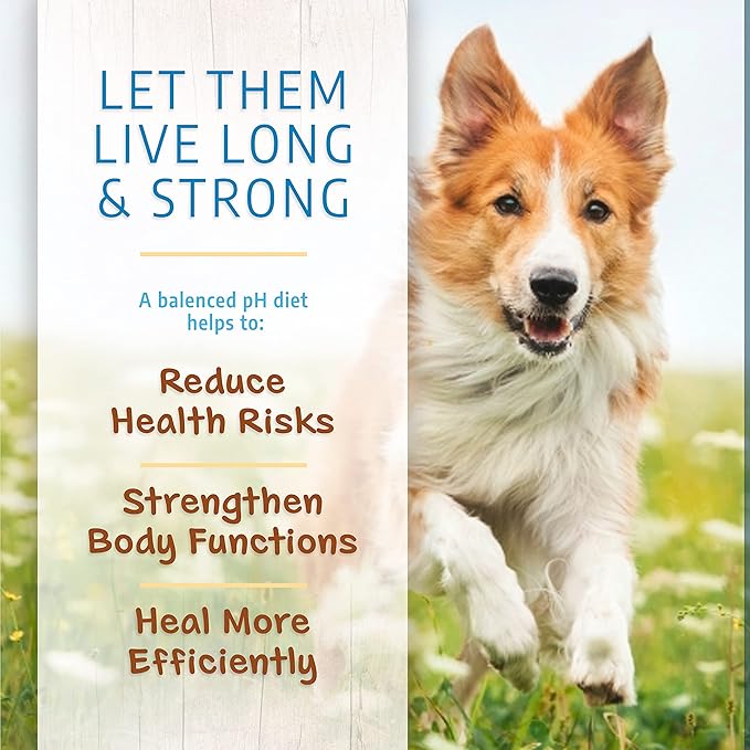 Canine Caviar Open Range Dog Food | Limited Ingredient Alkaline Holistic Dog Food – All Life Stages | Gluten Free, Ultra-Premium Dog Food | Healthy Skin & Coat | Buffalo & Chickpea – 4.4 lbs