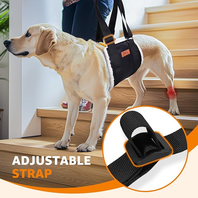 Adjustable Dog Lift Harness, Dog Sling for Large Dogs Lift Support and Rehab Harness for Weak Rear Legs, Soft Hind Leg Support Helps Senior, Injured,Disabled and After ACL Surgery Dogs(Black,X-Large)