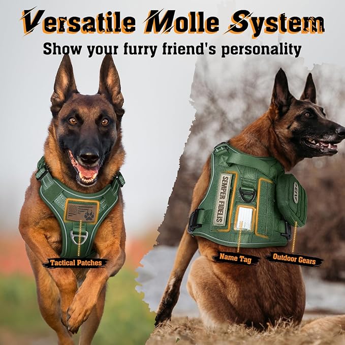 rabbitgoo Dog Harness Medium Sized No Pull, Tactical Service Dog Vest with Molle and Control Handle, Adjustable and Reflective Military Pet Harness for Easy Walking and Training, Green, M