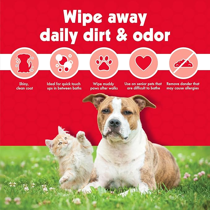 Petkin Pet Wipes for Dogs and Cats, 400 Large Wipes - Removes Dirt & Odor Like Washing Hands - Cleans Ears, Face, Butt, Eye Area - Convenient, Ideal for Home or Travel - 4 Packs of 100 Wipes