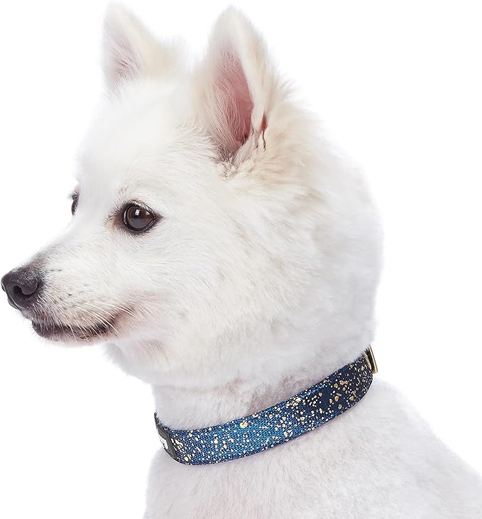 Blueberry Pet 4 Colors Glam Life Gold Stamping Lace Adjustable Dog Collar in Classy Navy, Neck 9-12.5", for Small Breed