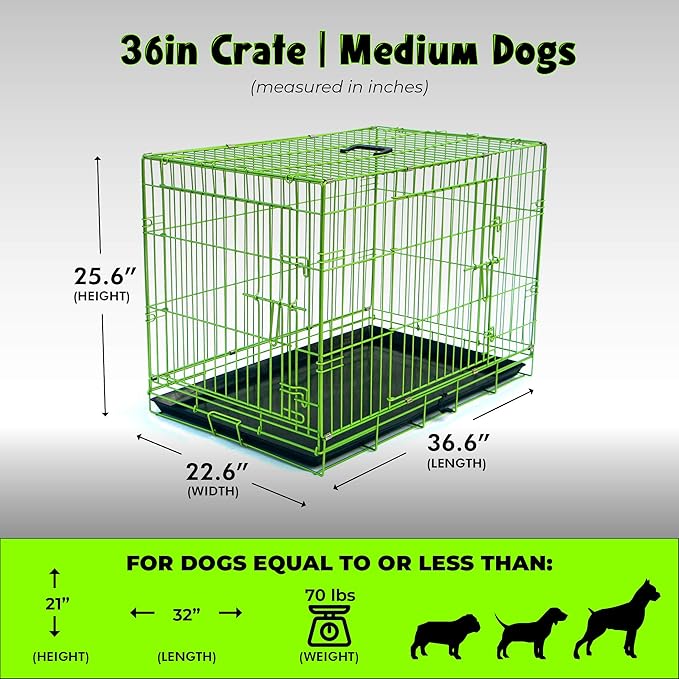 PET Expressions Luxury Colorful 36 Inch Foldable Dog Crate with 2 Doors | Free Training Ebook and Pet Calming Music | 3 Colors & 3