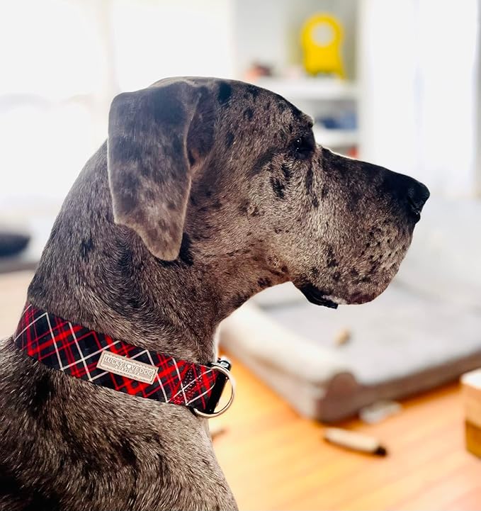 Lucky Love Dog Wide Dog Collar - Adjustable, Durable, Soft Webbing, & Comfortable 1.5 inch Wide Collar for Dogs Male and Female - in Heywood Pattern with Strong Buckle, Medium Size