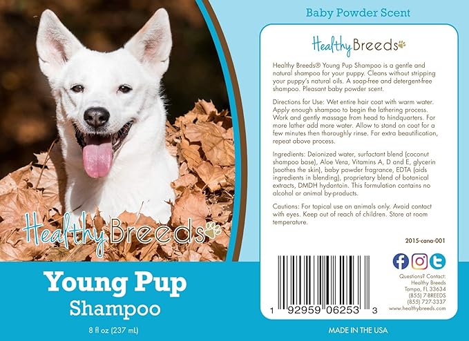 Healthy Breeds Canaan Dog Young Pup Shampoo 8 oz