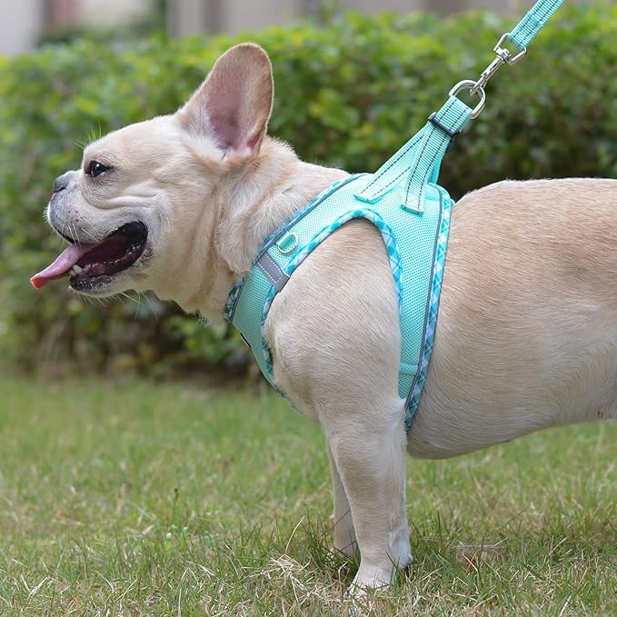 Mercano Soft Mesh Dog Harness and Leash Set, No-Chock Step-in Reflective Breathable Lightweight Easy Walk Escape Proof Vest Harnesses with Safety Buckle for Small Medium Dogs, Cats (Light Green, XL)