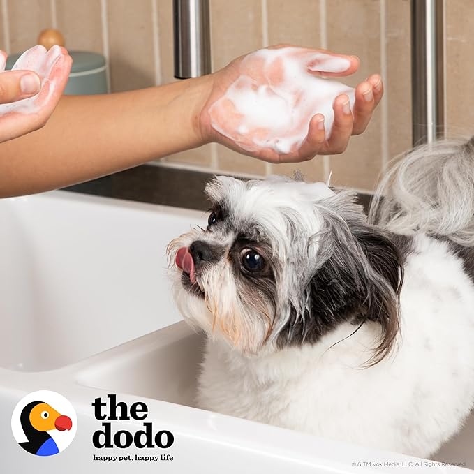 The Dodo Tearless Deodorizing Shampoo for Dogs, Summer Citrus with Baking Soda and Charcoal; Dog Shampoo Deodorizer