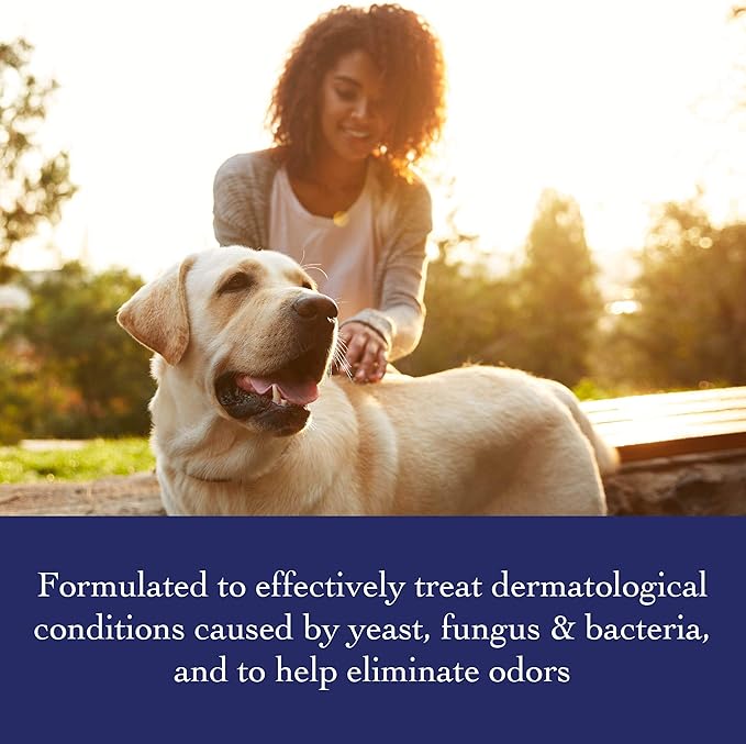 Richard’s Organics Shampoo for Dogs, 12 oz – Formulated with Tea Tree Oil & Neem Oil – 100% Natural Active Ingredients Dog Shampoo to Treat Yeast and Other Skin Infections in Dogs