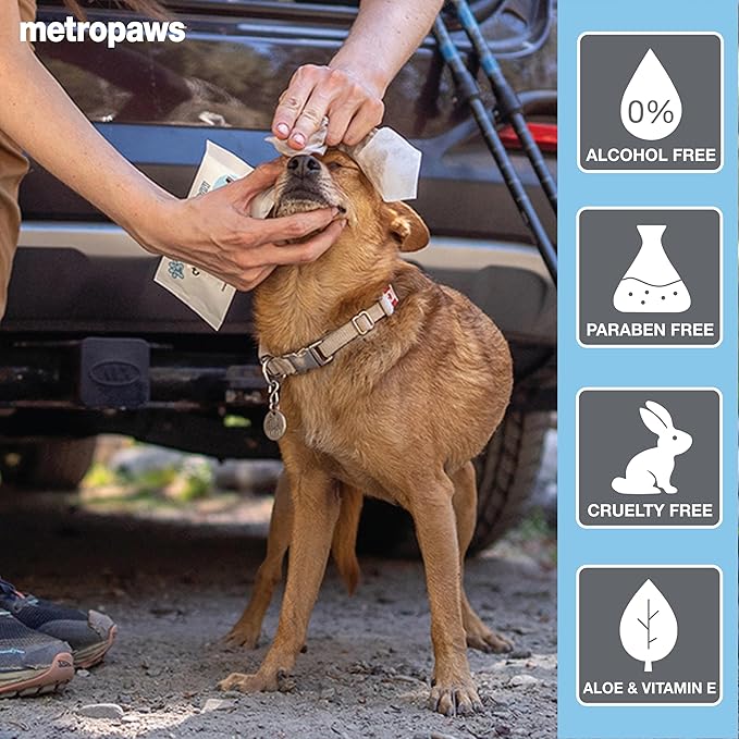 MetroPaws Unscented Dog Wipes, 100 Extra Large & Thick Cleaning Wipes Ideal for Cats and Dogs, for Paws, Butt, Ears and Eyes