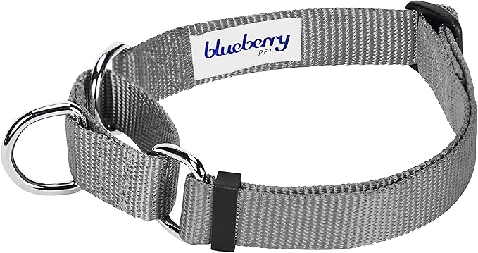 Blueberry Pet Essentials Martingale Safety Training Dog Collar, Flint Gray, Large, Heavy Duty Nylon Adjustable Collars for Dogs