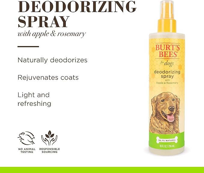 Burt's Bees for Pets Deodorizing Spray for Dogs with Apple and Rosemary, 99.7% Natural Origin Formulas, Waterless Canine Cleanser - Gentle Dry Shampoo for Pups, 2pk, 10 oz