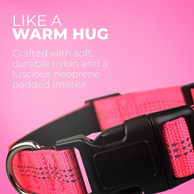 BLAZIN 'Color Me Happy!' Reflective Dog Collar for Day and Night - Adjustable Soft Neoprene Padded Dog Collar in 4 Vibrant Colors - Keeps Dogs Safe and Stylish - for Every Day Use (Large, Pink)