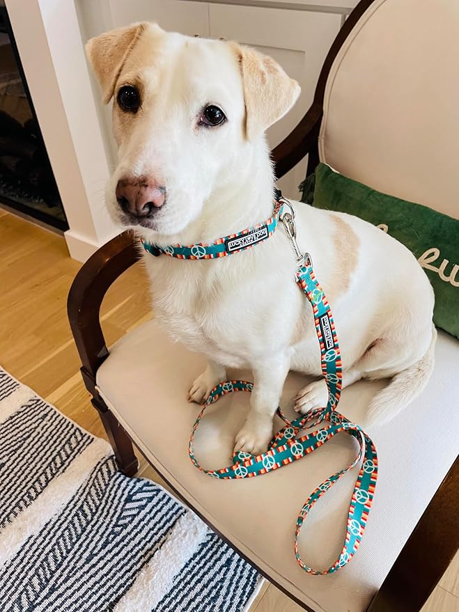 Lucky Love Dog Collar, Collars for Small Dogs, Peace Sign Dog Collar, Easy On & Off Clasp Accessory, Peace On Earth, Small