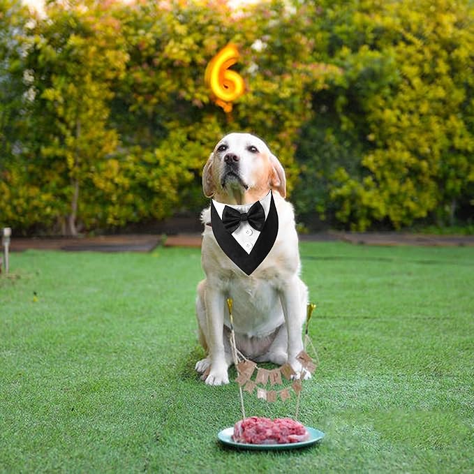 ADOGGYGO Formal Dog Tuxedo Bandana, XS, Black (Wedding, Birthday Costume)