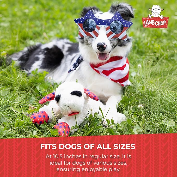 Multipet Lamb Chop Dog Plush Toy w/Birthday Hat - Squeaky Dog Toy for All Dogs - Soft Plush Dog Toy - Stuffed Animal Dog Toy for Playing - Cute Dog Birthday Toy (10.5”, Blue Hat, 5 Squeakers)