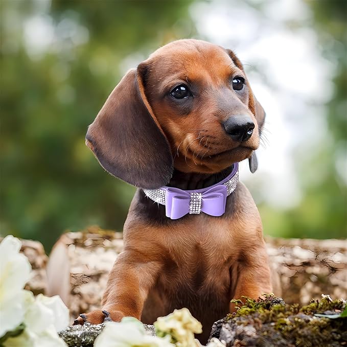 Rhinestone Bowtie Small Dog Collar and Leash Set, Diamond Puppy Collars Bow Crystal Bling Jeweled Glitter Girl Female Adjustable for XXSmall X-Small Small Medium Large Dogs (Light Blue-1,Small)