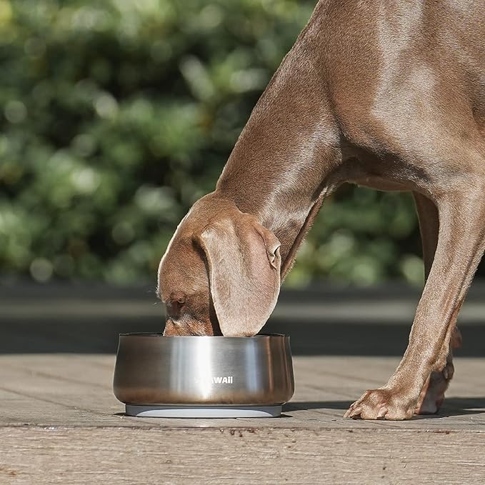 Pawaii Stainless Steel Dog Bowl with Non-Slip Rubber Base & Double Wall Insulation - Durable Design | Includes ID Tag | Dishwasher Safe Food & Water Bowl for All Dogs (34oz)
