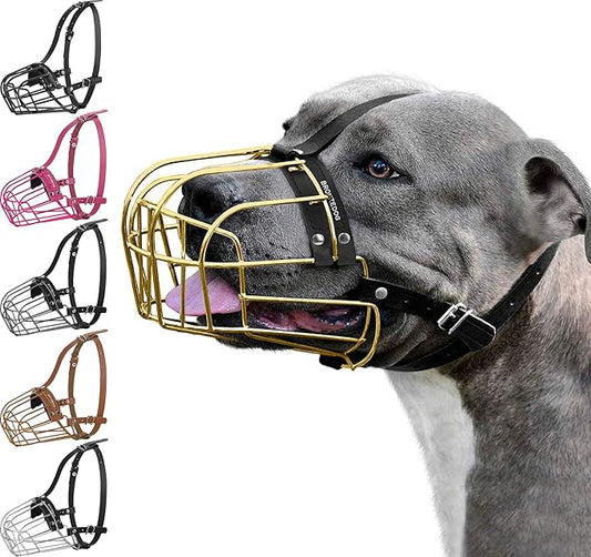 BRONZEDOG Pitbull Dog Muzzle Metal Mask Amstaff Wire Basket Pit Bull Adjustable Leather Straps for Large Dogs (Gold)