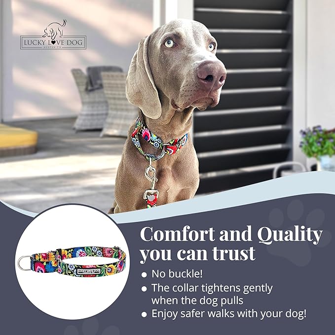 Lucky Love Dog Martingale Dog Collar - Adjustable, No-Slip, Durable, & Soft Webbing Dog Collar for Male and Female Dogs Ideal for Training & Walking - Stylish Blackbird Pattern, Large Size