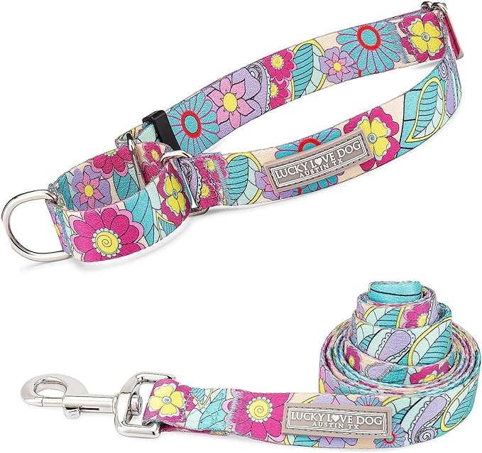 Lucky Love Dog Martingale Collar and Leash Set, Premium No Slip Martingale Collar for Large Dogs, Great for Whippets, Greyhounds, and More (Caroline, Large - Combo)