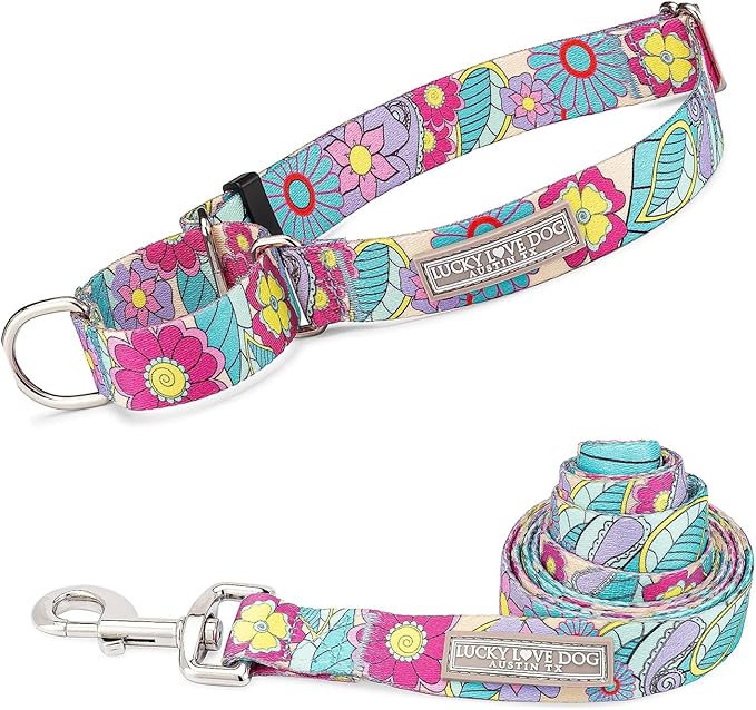 Lucky Love Dog Martingale Collar and Leash Set, Premium No Slip Martingale Collar for Dogs, Great for Whippets, Greyhounds, and More (Caroline, Small - Combo)