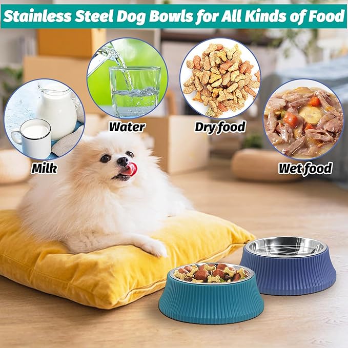 kathson 2PCS Stainless Steel Dog Bowls Set Removable no tip Puppy Food and Water Feeder Bowl Basic Metal Small Dog Bowls for Dogs Cats Rabbit Guinea Pigs Ferret