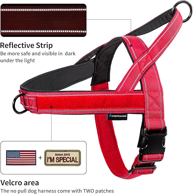 Annchwool No Pull Dog Harness with Padded Handle+5 Ft Leash,Reflective Strip Escape Proof and Quick Fit to Adjust Dog Harness,Easy for Training Walking for Small & Medium and Large Dog(Red-Set,L)