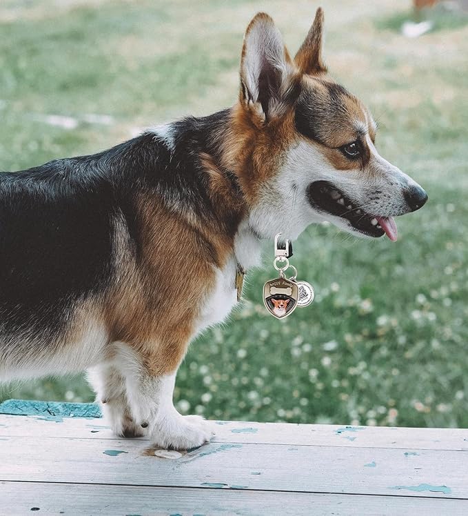 Dog Tags Personalized QR Code Dog Tags, Retro Brass Personalized Pet ID Tags Modifiable Pet Online Profile (Corgi-1)