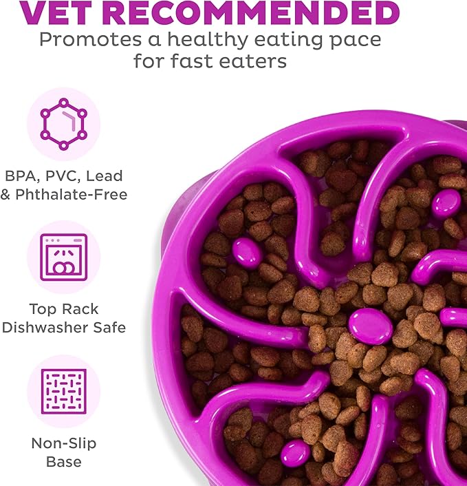 Outward Hound Fun Feeder Slo Bowl, Slow Feeder Dog Bowl, Medium/Mini, Purple