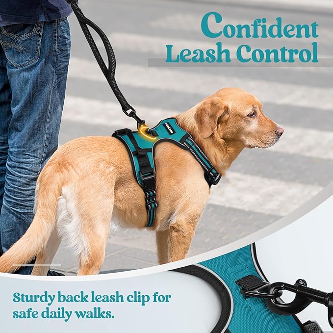 rabbitgoo Dog Harness, No-Pull Pet Harness with 2 Leash Clips, Adjustable Soft Padded Dog Vest, Reflective No-Choke Pet Oxford Vest with Easy Control Handle for Large Dogs, Teal, XL