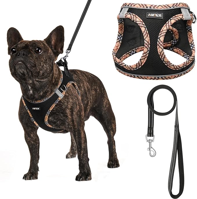 AMTOR Small Dog Harness with Leash Set, No Escape Easy Walk Puppy Harnesses for Training Walking, Step-in Reflective Soft Dogs Vest for XS S Medium Extra-Small Large Sized Dog(BlackYellow,M)
