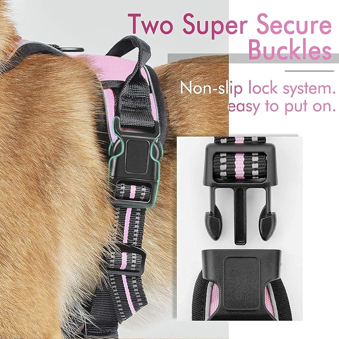 rabbitgoo Dog Harness,No-Pull Pet Harness with 2 Leash Clips, Adjustable Soft Padded Dog Vest, Reflective No-Choke Pet Oxford Vest with Easy Control Handle for Large Dogs, Pink, XL