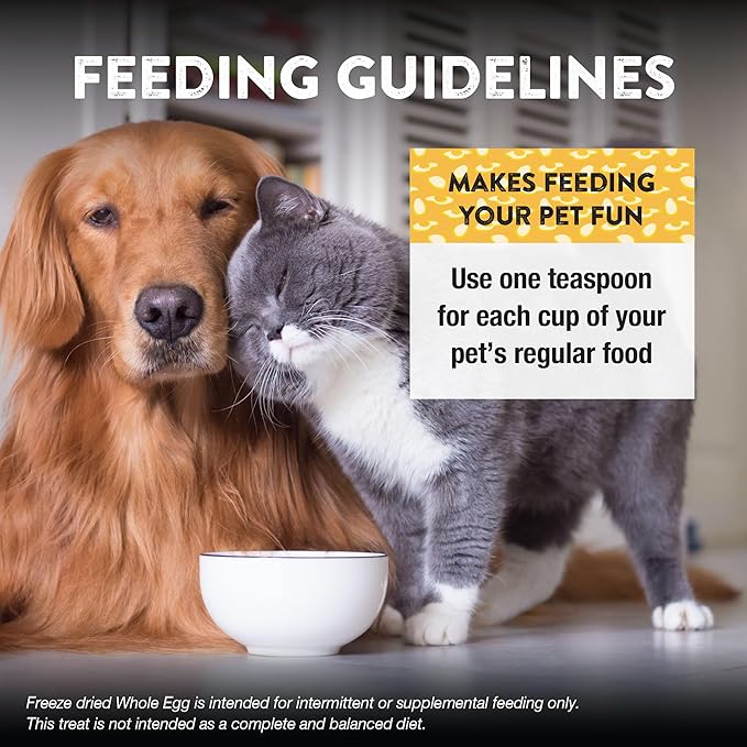 Northwest Naturals Freeze-Dried Whole Chicken Egg Functional Topper - for Dogs & Cats - Healthy, 1 Ingredient, Human Grade Pet Food, All Natural - 4 Oz (Pack of 1)