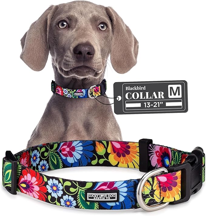 Lucky Love Dog - Adjustable Dog Collar with Easy Click Buckle for Small to Large Dogs, Durable, & Comfortable Collar for Male & Female Dogs, Pet Collar for Puppies & Adult Dogs - Blackbird, Medium