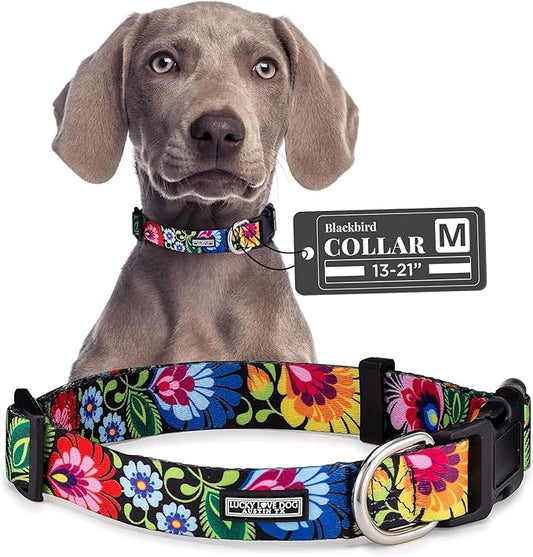 Lucky Love Dog - Adjustable Dog Collar with Easy Click Buckle for Small to Large Dogs, Durable, & Comfortable Collar for Male & Female Dogs, Pet Collar for Puppies & Adult Dogs - Blackbird, Medium