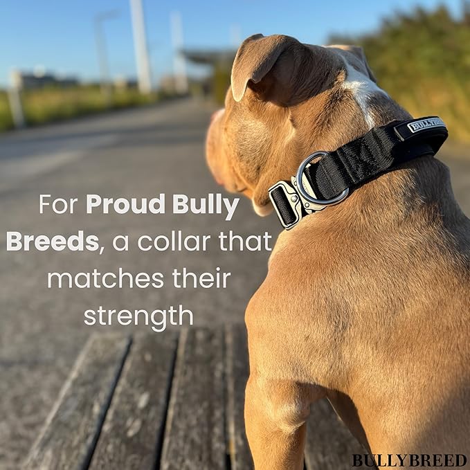 BULLYBREED Premium Dog Colar with Handle, Heavy Duty Dog Collar, Tactical Dog Collar, Quick-Release Metal Buckle, Puppy Collar, Dog Collar for Small Dogs, Dog Collar for Medium Dogs (Green, Small)