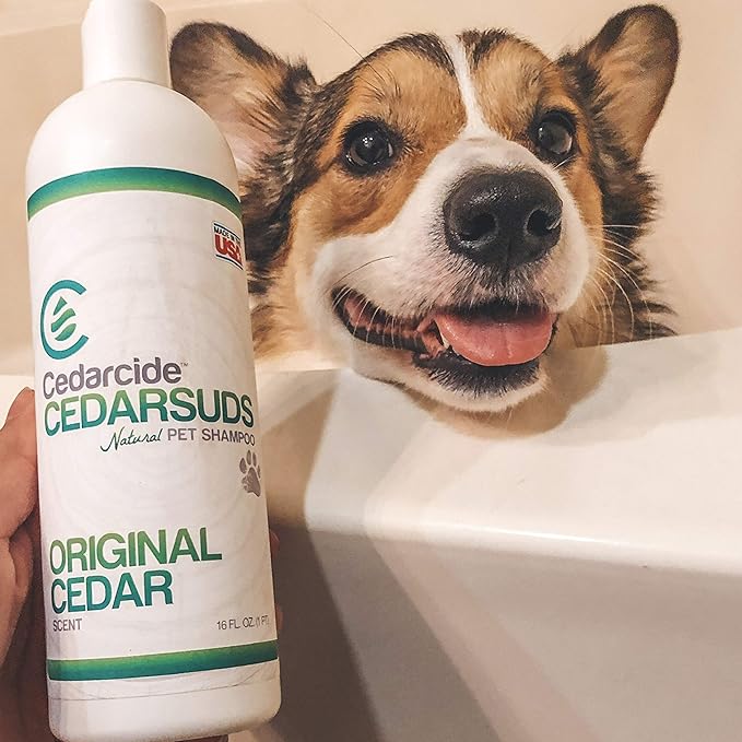 Cedarcide Cedarsuds Original Cedar Pet Shampoo (Quart) | Non-Toxic and Eco-Friendly | Cleans, and Moisturizes | Soft, Hydrating Coat for Pets | Removes Mats and Tangles